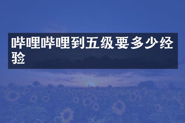 哔哩哔哩到五级要多少经验