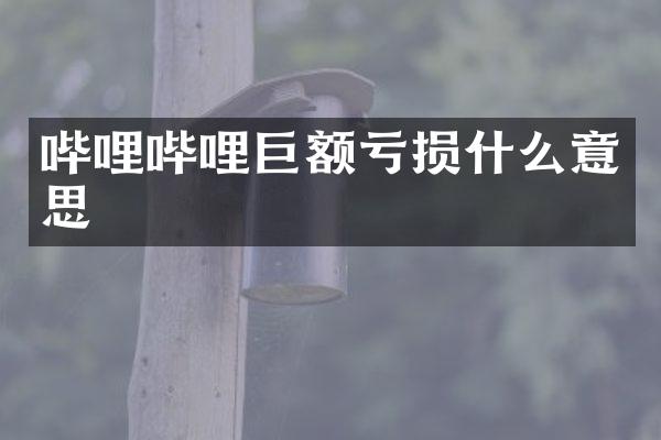 哔哩哔哩巨额亏损什么意思