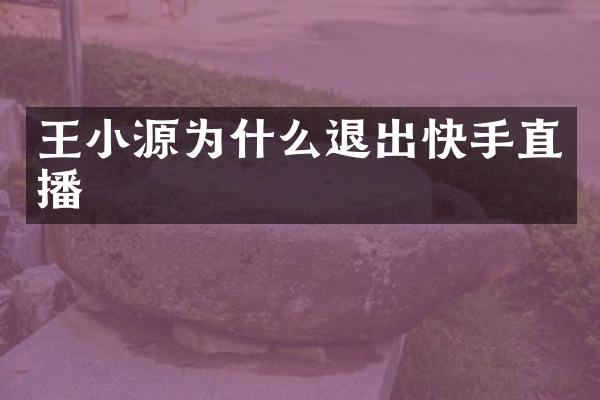 王小源为什么退出快手直播