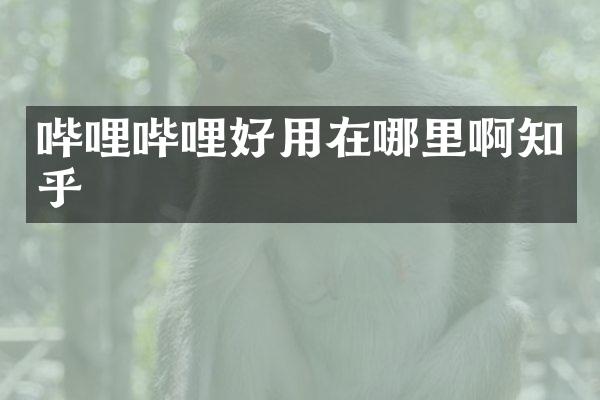 哔哩哔哩好用在哪里啊知乎