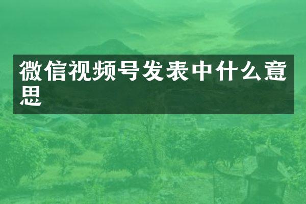 微信视频号发表中什么意思