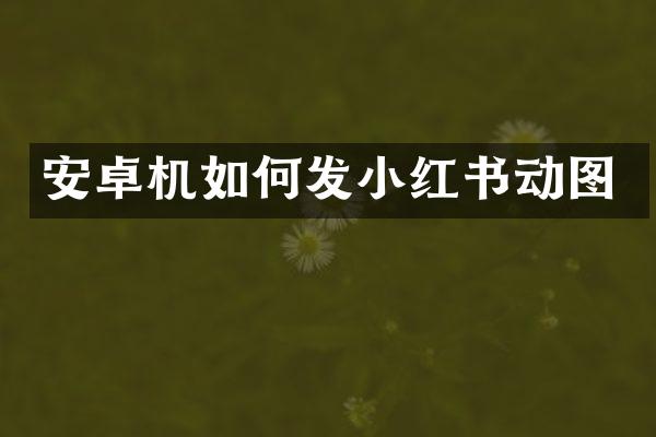 安卓机如何发小红书动图