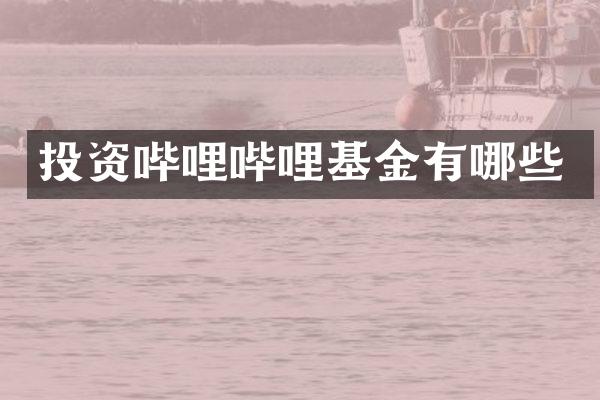 投资哔哩哔哩基金有哪些