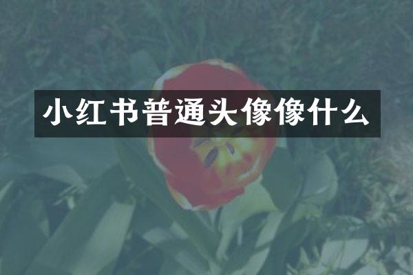 小红书普通头像像什么