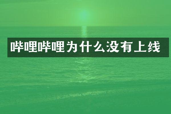哔哩哔哩为什么没有上线