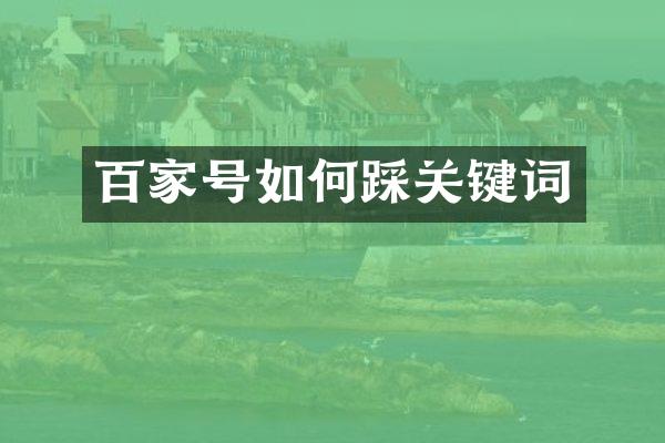 百家号如何踩关键词