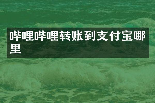 哔哩哔哩转账到支付宝哪里