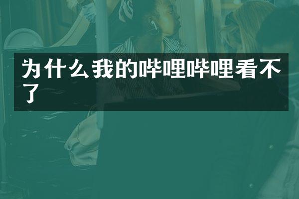 为什么我的哔哩哔哩看不了