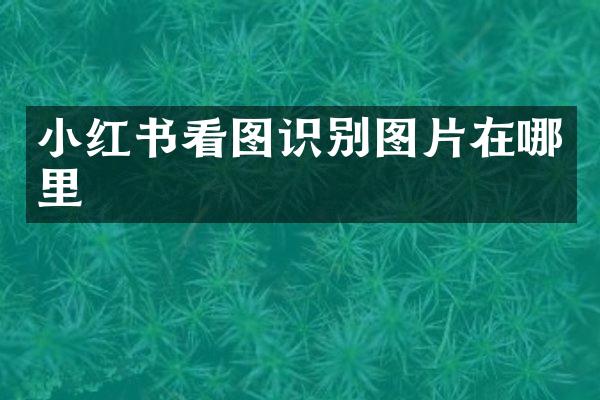 小红书看图识别图片在哪里