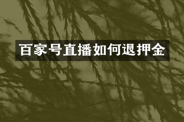 百家号直播如何退押金