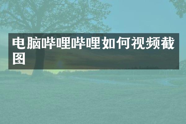 电脑哔哩哔哩如何视频截图