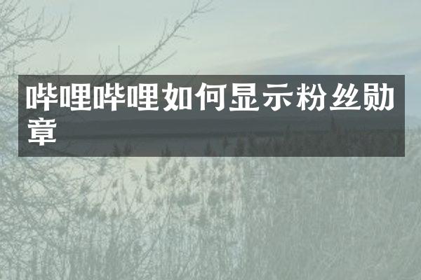 哔哩哔哩如何显示粉丝勋章