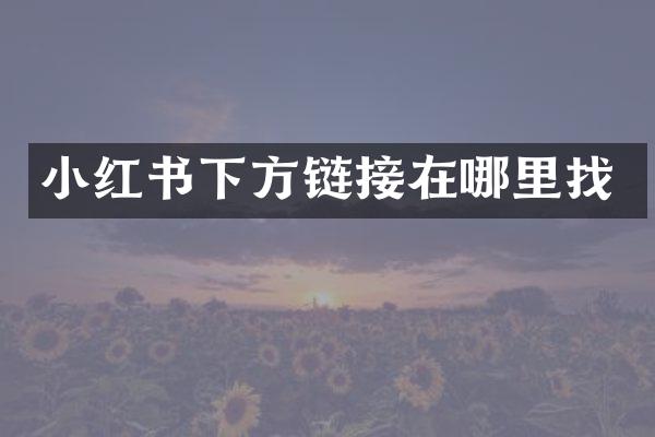 小红书下方链接在哪里找