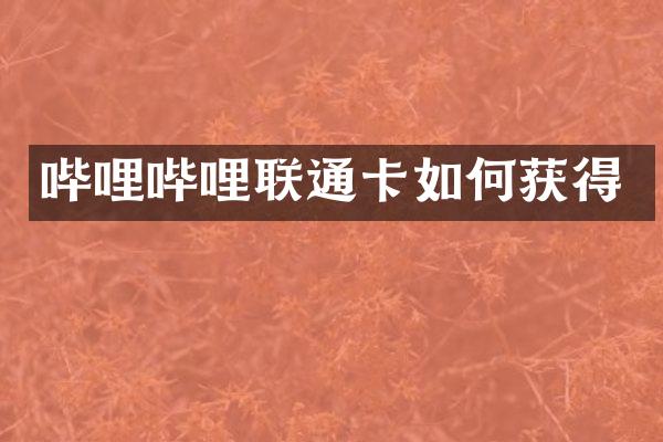 哔哩哔哩联通卡如何获得