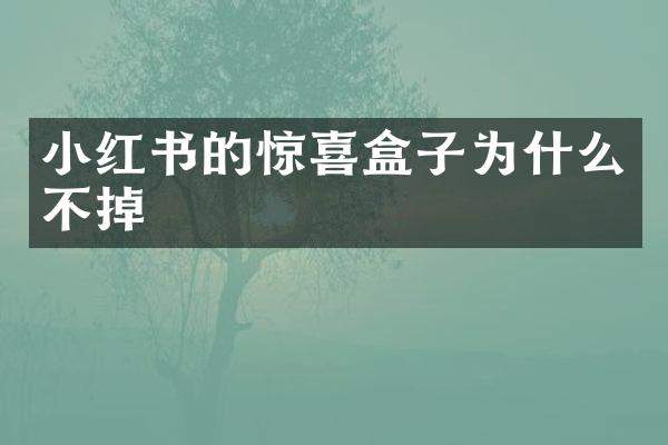 小红书的惊喜盒子为什么不掉