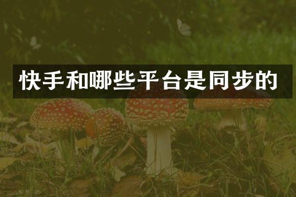 快手和哪些平台是同步的