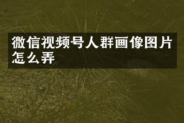 微信视频号人群画像图片怎么弄