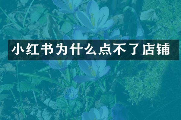 小红书为什么点不了店铺