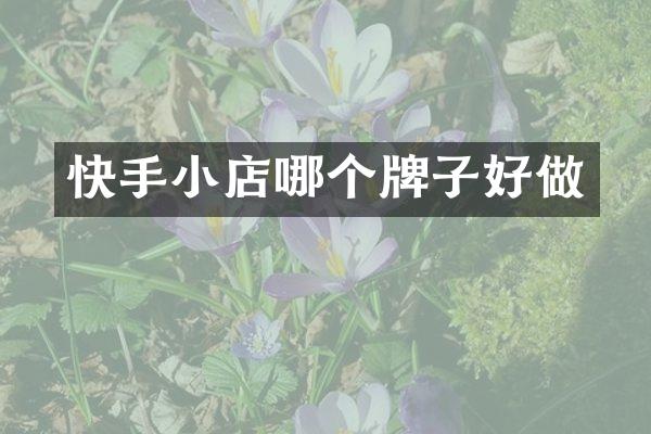 快手小店哪个牌子好做