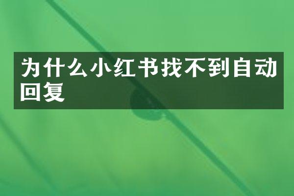 为什么小红书找不到自动回复