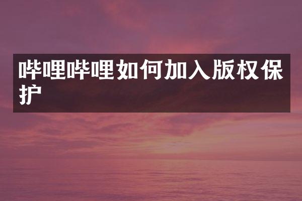 哔哩哔哩如何加入版权保护