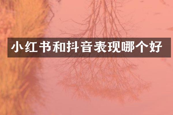 小红书和抖音表现哪个好