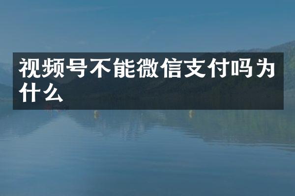 视频号不能微信支付吗为什么