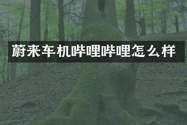 蔚来车机哔哩哔哩怎么样