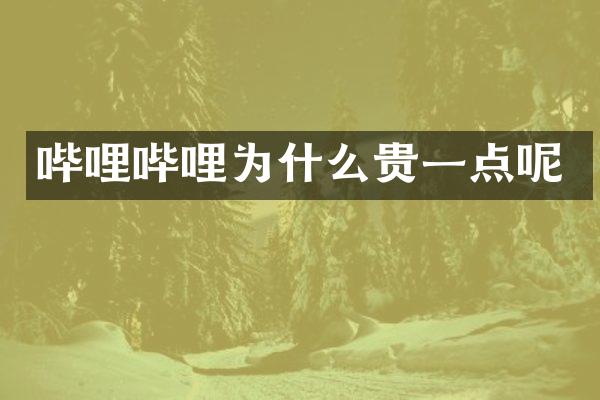 哔哩哔哩为什么贵一点呢