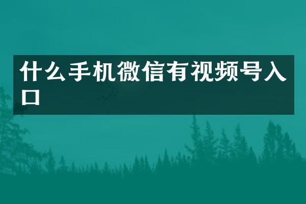 什么手机微信有视频号入口