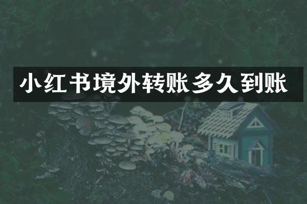小红书境外转账多久到账