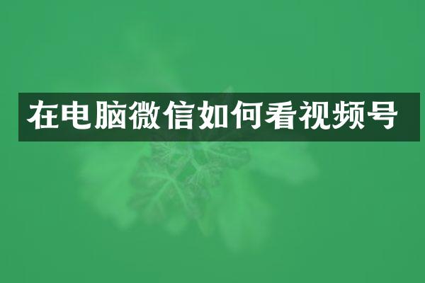 在电脑微信如何看视频号
