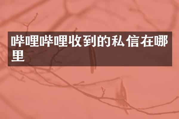 哔哩哔哩收到的私信在哪里