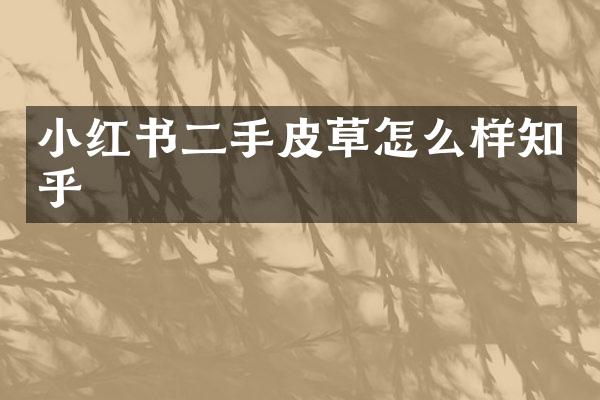 小红书二手皮草怎么样知乎