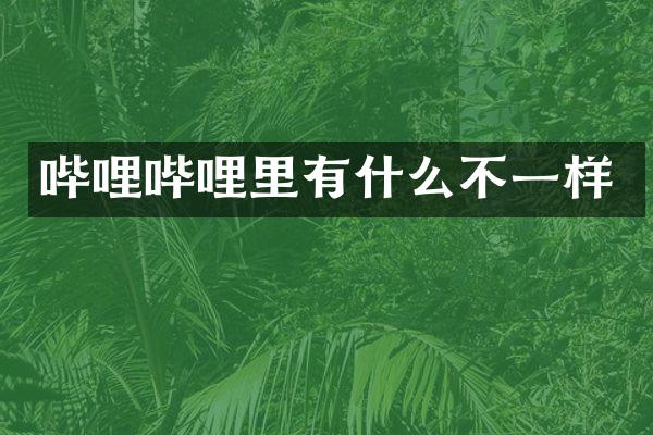 哔哩哔哩里有什么不一样
