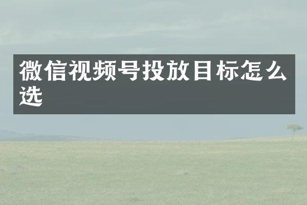 微信视频号投放目标怎么选