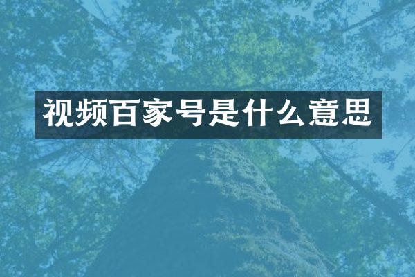视频百家号是什么意思