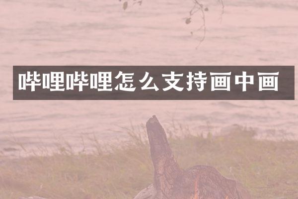 哔哩哔哩怎么支持画中画