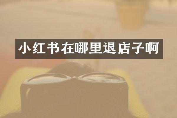 小红书在哪里退店子啊