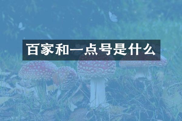 百家和一点号是什么