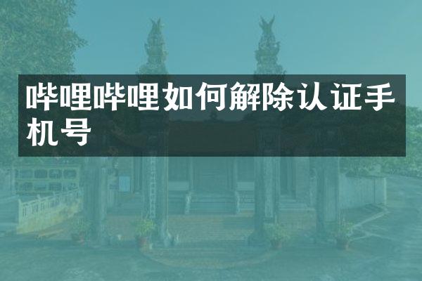 哔哩哔哩如何解除认证手机号