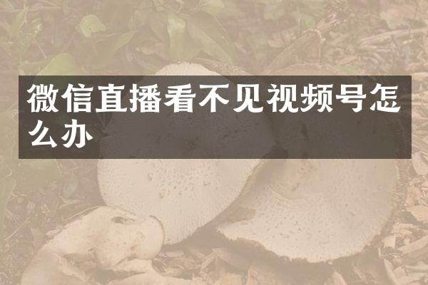 微信直播看不见视频号怎么办