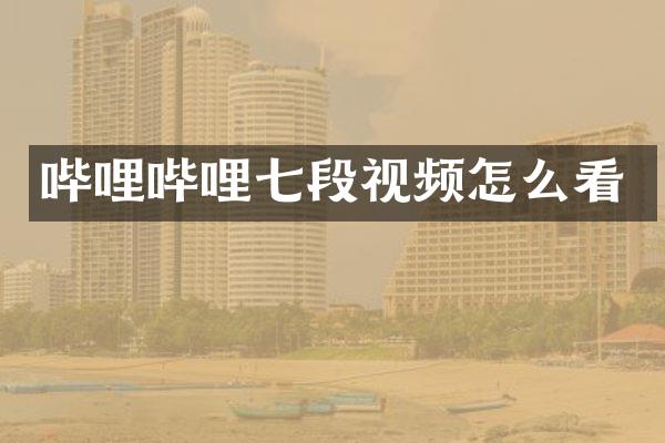 哔哩哔哩七段视频怎么看