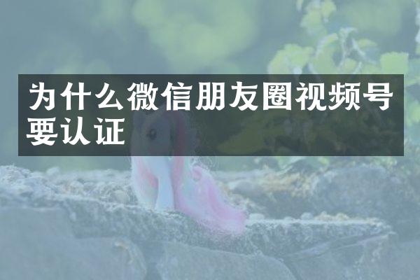 为什么微信朋友圈视频号要认证