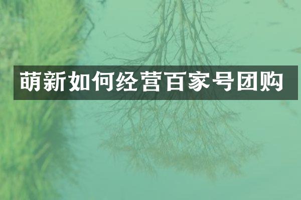 萌新如何经营百家号团购