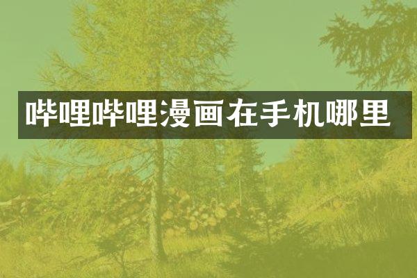 哔哩哔哩漫画在手机哪里