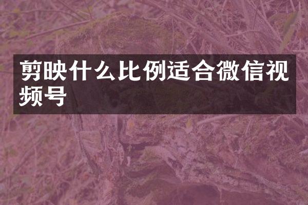 剪映什么比例适合微信视频号