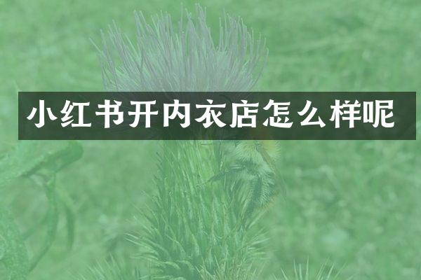 小红书开内衣店怎么样呢