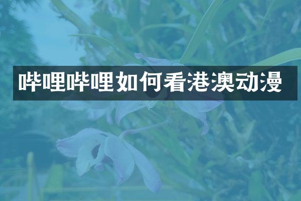 哔哩哔哩如何看港澳动漫