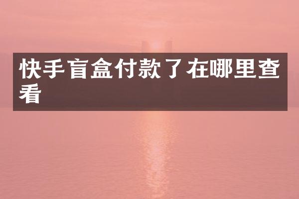 快手盲盒付款了在哪里查看